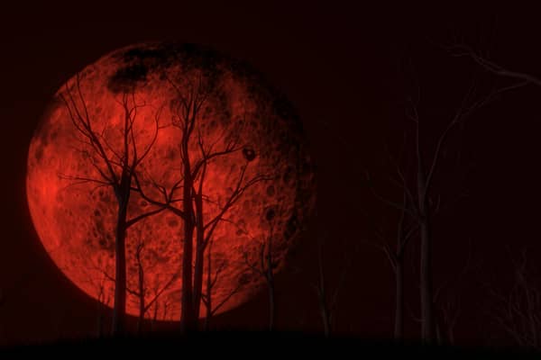 A red full moon. Image: kmls - stock.adobe.com