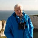 Sir David Attenborough will star in a new BBC documentary on the UK’s prehistoric era