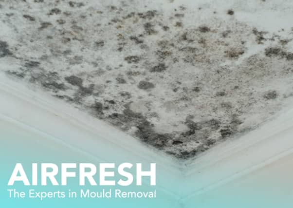 The law was named in memory of Awaab Ishak, a two-year-old boy who tragically died in 2020 due to prolonged mould exposure in social housing.