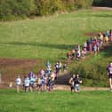 The start of the 2025 Clipston Trail Half Marathon