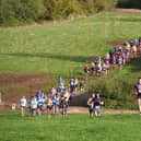 The start of the 2025 Clipston Trail Half Marathon