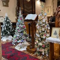 17 years of trees and 1,750 years of Santa: A landmark Festival in Fleckney
