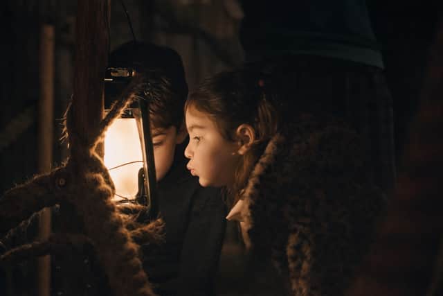 Immersive Nighttime Light Trail at Kelmarsh Hall