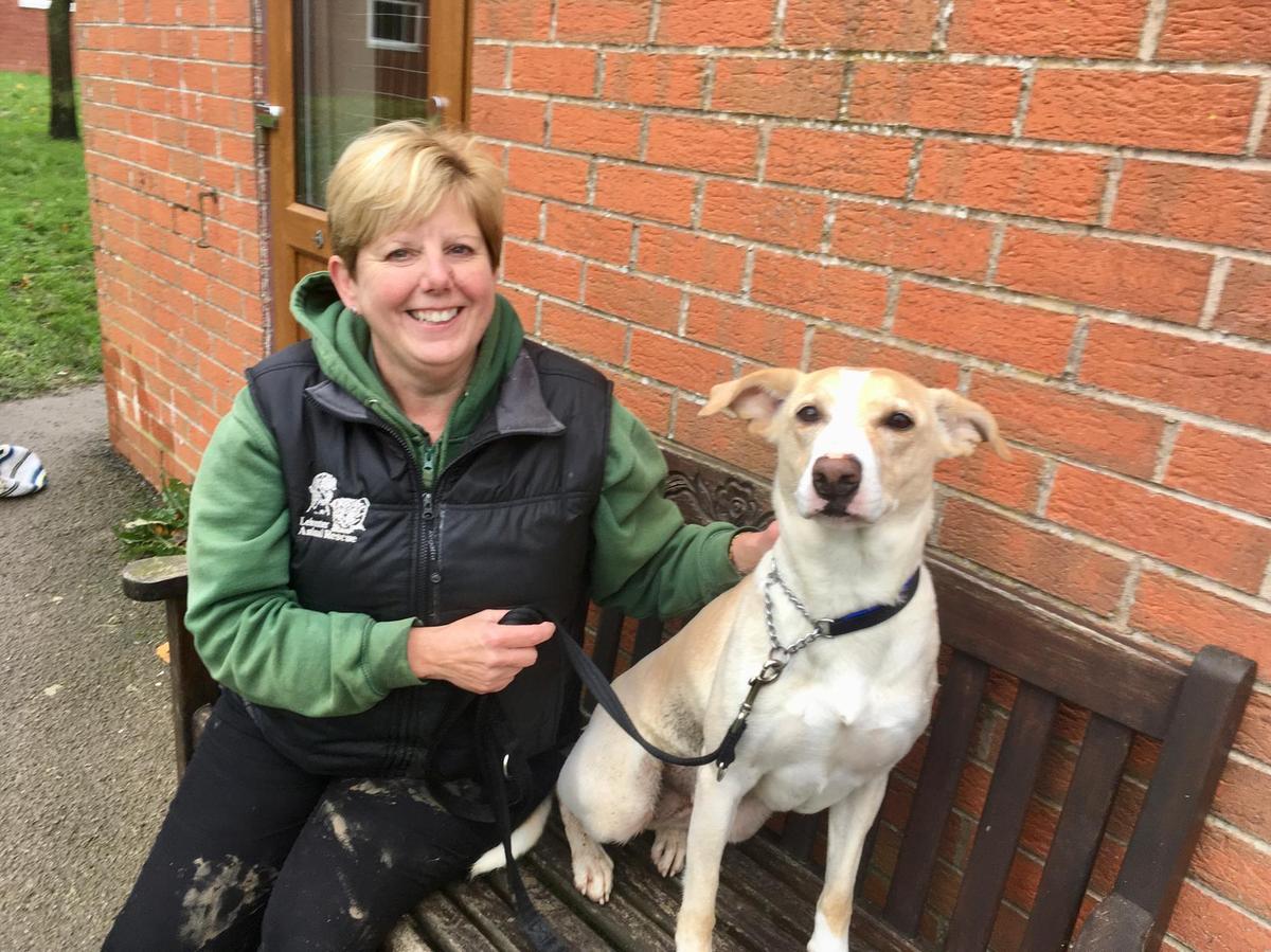 Twenty years of rescuing thousands of animals in the Harborough district |  Harborough Mail