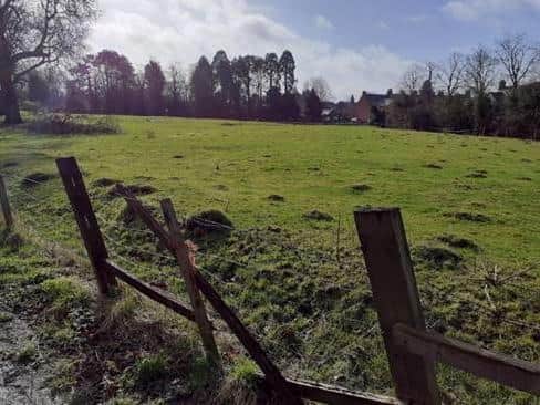 Plans have been withdrawn for dog walking on land on on Queen Street, off Braybrooke Road.