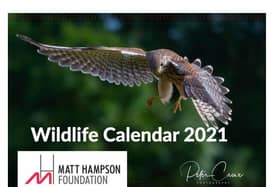 An image from Peter Crowe's 2021 Wildlife Calendar.