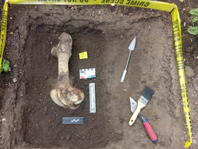 Katie Spurgeon used the summer to hone her excavation skills.