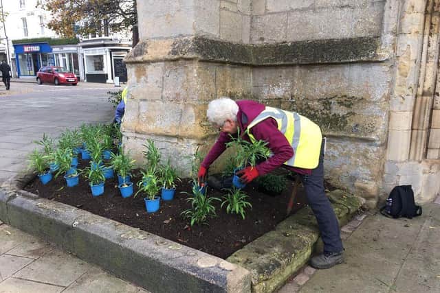 A volunteer planting in the town.