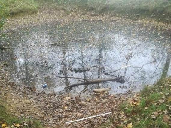 The pond where the dog was dumped.