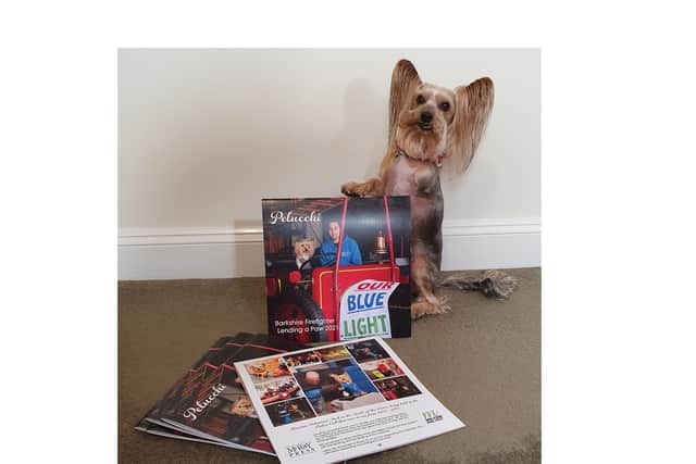 Yorkshire terrier Mr Pelucchi helkped inspire the calendar.
