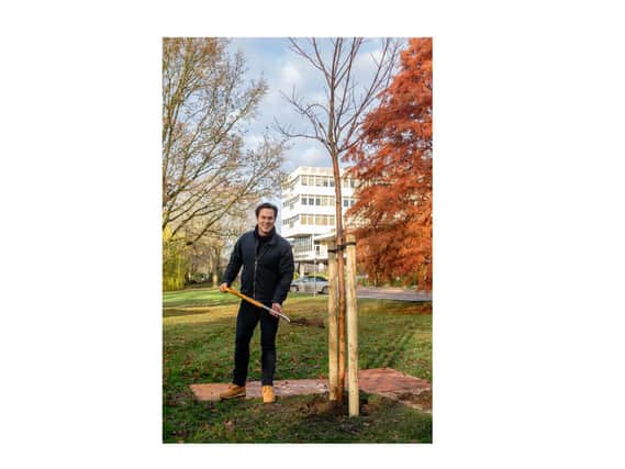 Cllr Blake Pain planting a tree at County Hall.