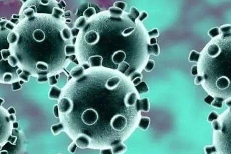 The number of people who have tested positive for coronavirus in Harborough is climbing again, the latest Public Health England figures show.
