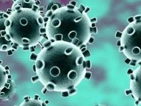 The number of people who have tested positive for coronavirus in Harborough is climbing again, the latest Public Health England figures show.