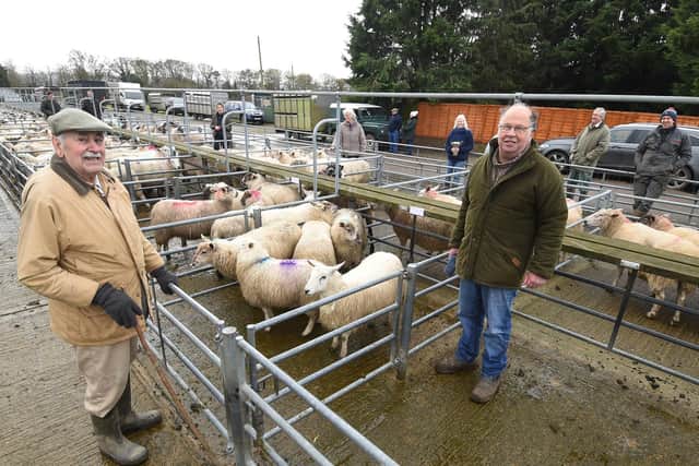 John Wadland president and Craig Langton chairman of Market Harborough Fatstock Society invited a Charity Donation of Lambs from local farmers, to be sold at the Auction in support of the Derbyshire, Leicestershire and Rutland Air Ambulance.  This resulted in an excellent response and a donation amounting to over £1,600 being raised for the charity.
PICTURE: ANDREW CARPENTER