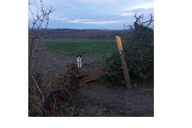 A popular public right of way in Market Harborough is to be cleared and made accessible again after being blocked by a fallen tree.