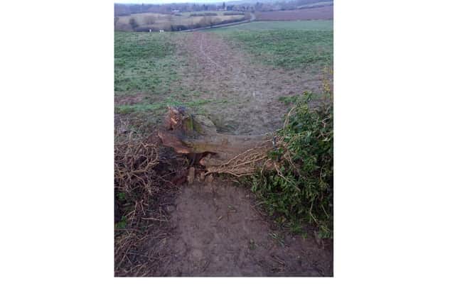 A popular public right of way in Market Harborough is to be cleared and made accessible again after being blocked by a fallen tree.