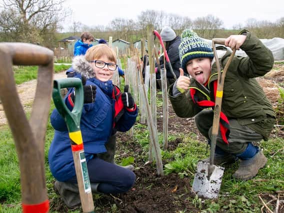 Cubs and scouts from Harborough plant almost 2,000 trees to help the environment (c) Nick Osborne