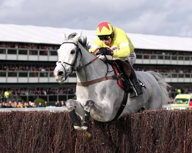 Politologue and Harry Skelton jump the last on their way to winning the Betway Queen Mother Champion Chase