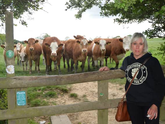 Julia Marabella at the scene where the cows charged her before she managed to scramble over the fence. PICTURE: ANDREW CARPENTER