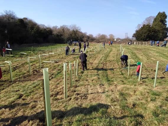 Harborough Woodland Community Volunteers is setting out to dramatically step up woods, hedges, spinneys and copses throughout the entire district.