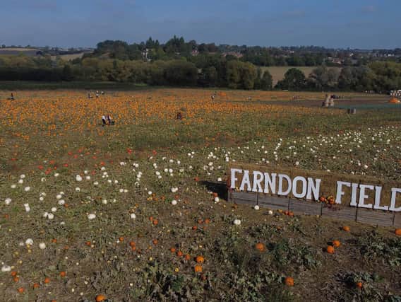Scores of people poured in to Farndon Fields farm shop at the weekend to pick their perfect pumpkin.