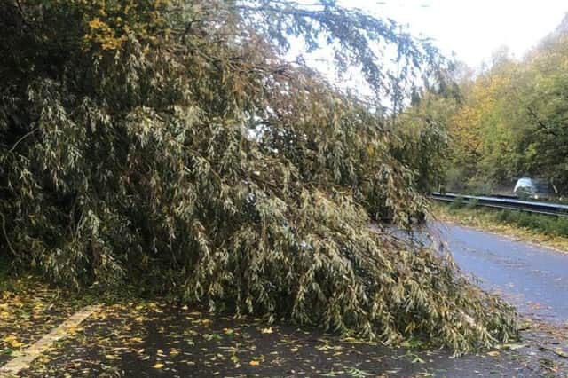Winds hitting 70mph wreaked havoc across the region as they brought down trees, fences, roof tiles and walls.