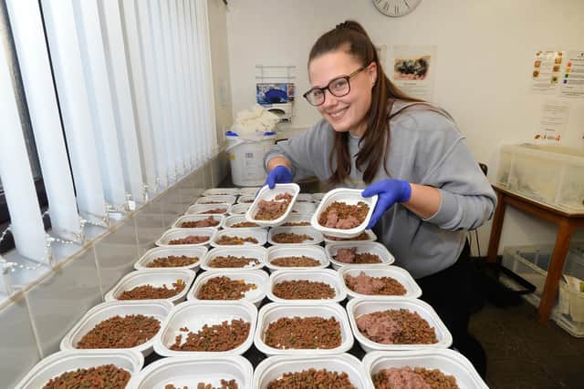 Volunteer Millie Clarke preparing the hedgehog food.
PICTURE: ANDREW CARPENTER