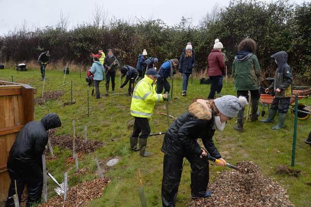 More than 30 students teamed up with over eight local organisations such as the Woodland Trust and Harborough Woodland to plant about 17 types of small garden tree – including wild cherry, rowan, silver birch and hazel. Photo by Andrew Carpenter.