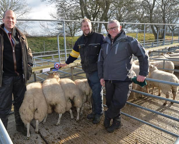 John Vickers (judge), Chris Hill with his champion pen of lambs and butcher Colin Freeks of Bridge 67 Butchers in Kibworth during the Foxton Fatstock Show.
PICTURE: ANDREW CARPENTER
