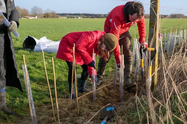 An army of 60 volunteers have helped to plant about 4,500 trees at Husbands Bosworth Gliding Centre. (Osbourne Photography)