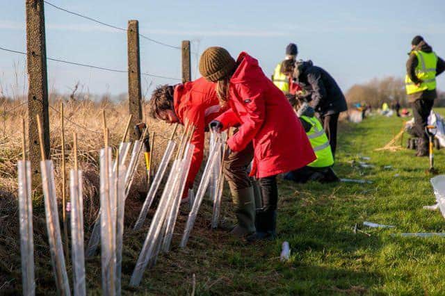 A huge army of volunteers have helped to plant an extraordinary 10,000 free trees across Harborough this winter.