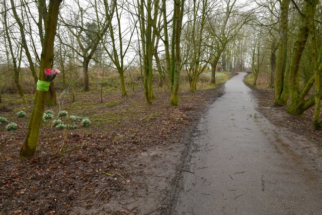 Flowers left at Witham Way Country Park, where the remains of Ilona Golabek were found.