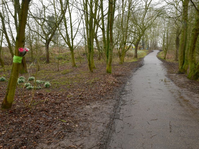 Flowers left at Witham Way Country Park, where the remains of Ilona Golabek were found.