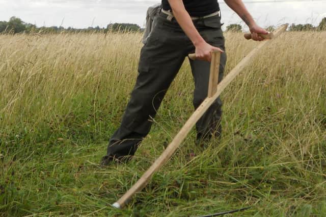 Do you fancy learning how to use and look after an Austrian scythe?If so then a one-day course in Harborough district in May could be just the thing for you.