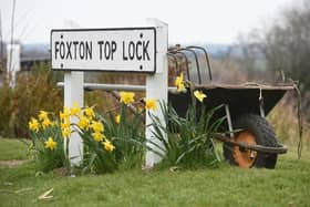 Blooming lovely in Foxton.
PICTURE: ANDREW CARPENTER