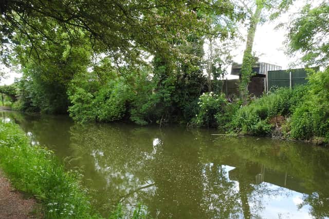 Our photographer Andy Carpenter took these photos of the banks and towpath of the Grand Union Canal - which now look much cleaner.