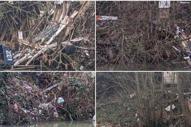 How the riverbanks looked before the clear-up