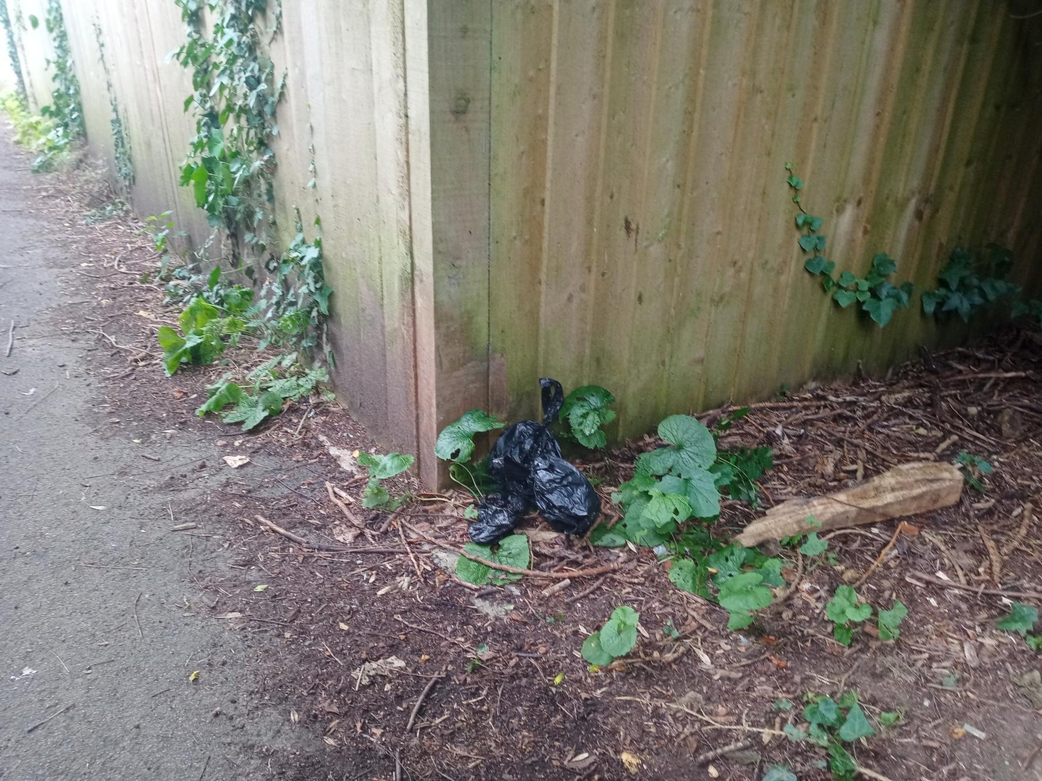 Disgusting: Dog walkers continue to dump plastic bags of their pets’ mess in a Harborough alley