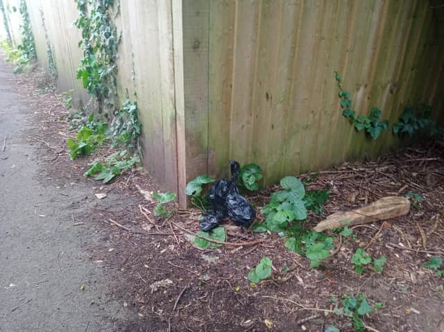 Do walkers have been piling up black bags of dog mess in the cut which links The Pastures, off Brookfield Road, to Wheat Close on a new estate by Lubenham Hill.