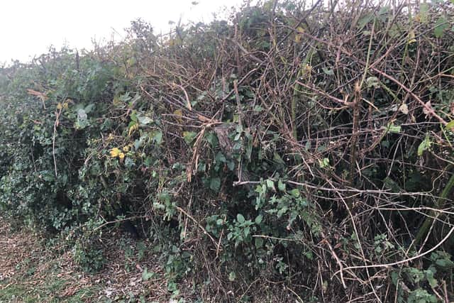 Heather Kirkup says Harborough District Council has slashed back brambles and sloes as well as trees and bushes over the last few days.