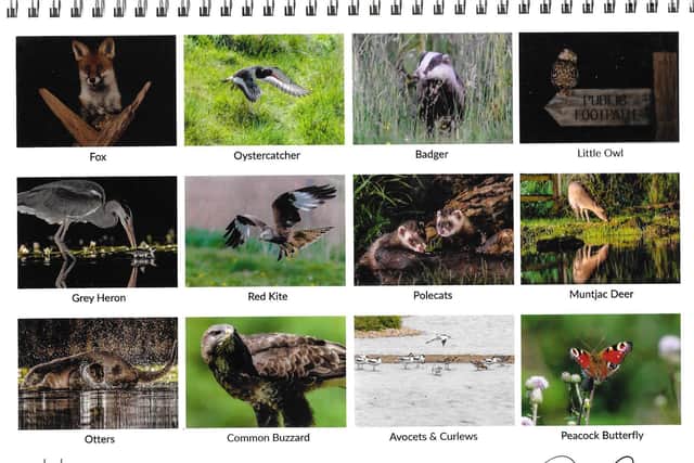 Photographer Peter Crowe has created a stunning wildlife calendar to support the Matt Hampson Foundation.