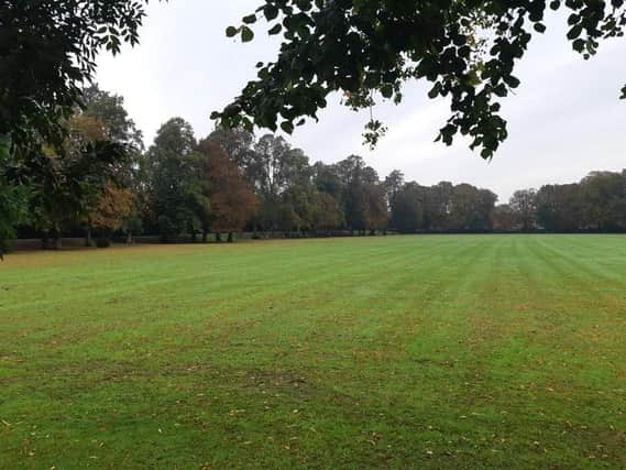 Parts of Little Bowden Recreation Ground are being sealed off to the public as work goes ahead to cut down diseased trees.