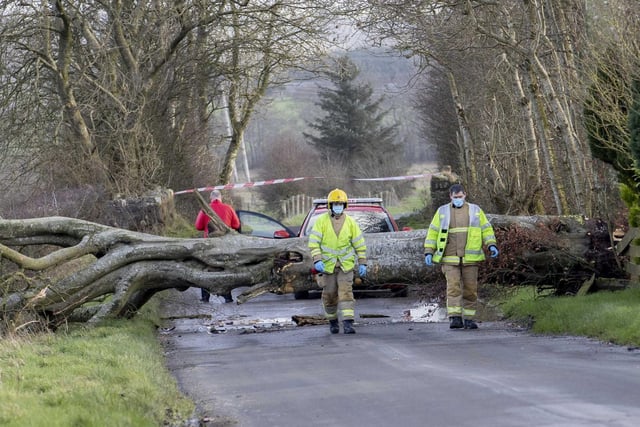 A driver had a lucky escape after a large tree struck his car on the Lislaban Road near Cloughmills, Co Antrim.