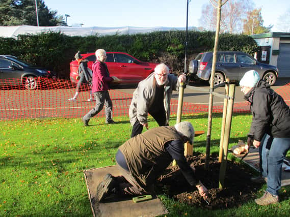 Volunteers busy at work planting crocus corms