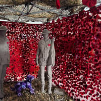 More than 4,800 knitted poppies used in Remembrance display inside Harborough Market