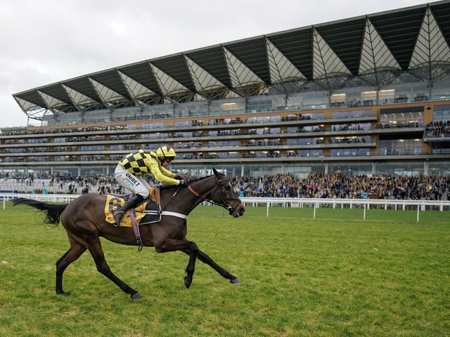 Powering to victory in front of Ascot's majestic grandstand last month is SHISHKIN, making a stunning comeback to form after a blip in the Champion Chase at the 2022 festival. The step-up in trip to 2m4f proved ideal for Nicky Henderson's 9yo charge and he is now a warm favourite to add the Ryanair Chase on Thursday (2.50) to his previous two festival triumphs.