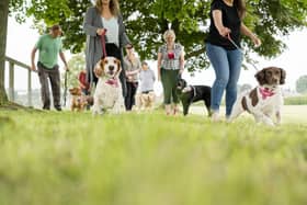 Hundreds to gather at Belvoir Castle for Great British Dog Walk in aid of Hearing Dogs