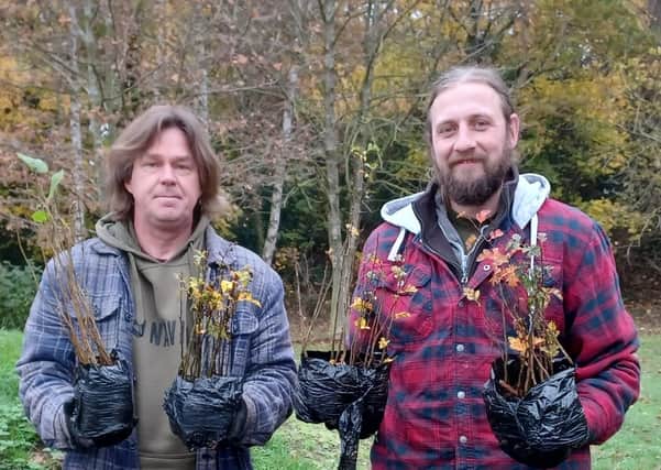The county council is hoping to beat last year's giveaway of around 50,000 trees.