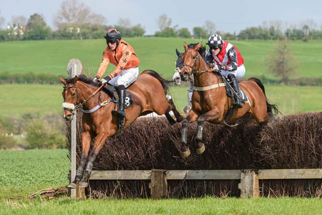 There will be point-to-point action at Dingley on Easter Saturday. Picture courtesy of Nico Morgan/Midlands Pointing