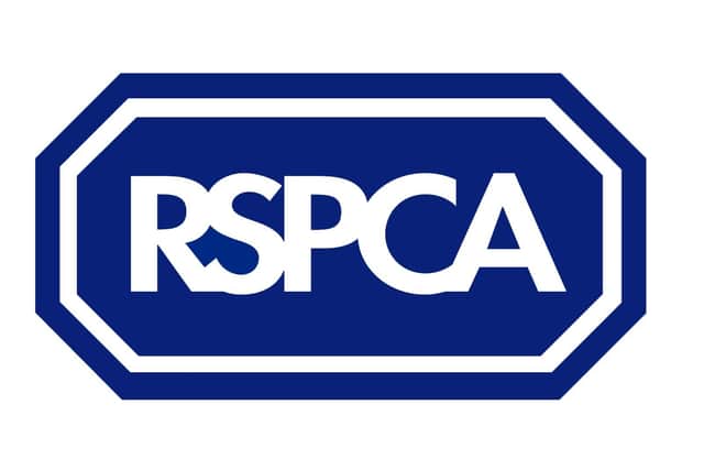 The RSPCA is appealing for information after a woman was seen repeatedly slapping a dog on its rear and back while in a field opposite Cuckoo Drive, Kibworth.